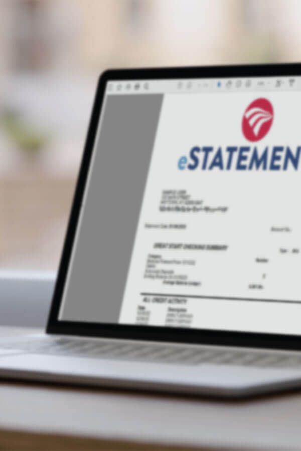 FNB Electronic Statements