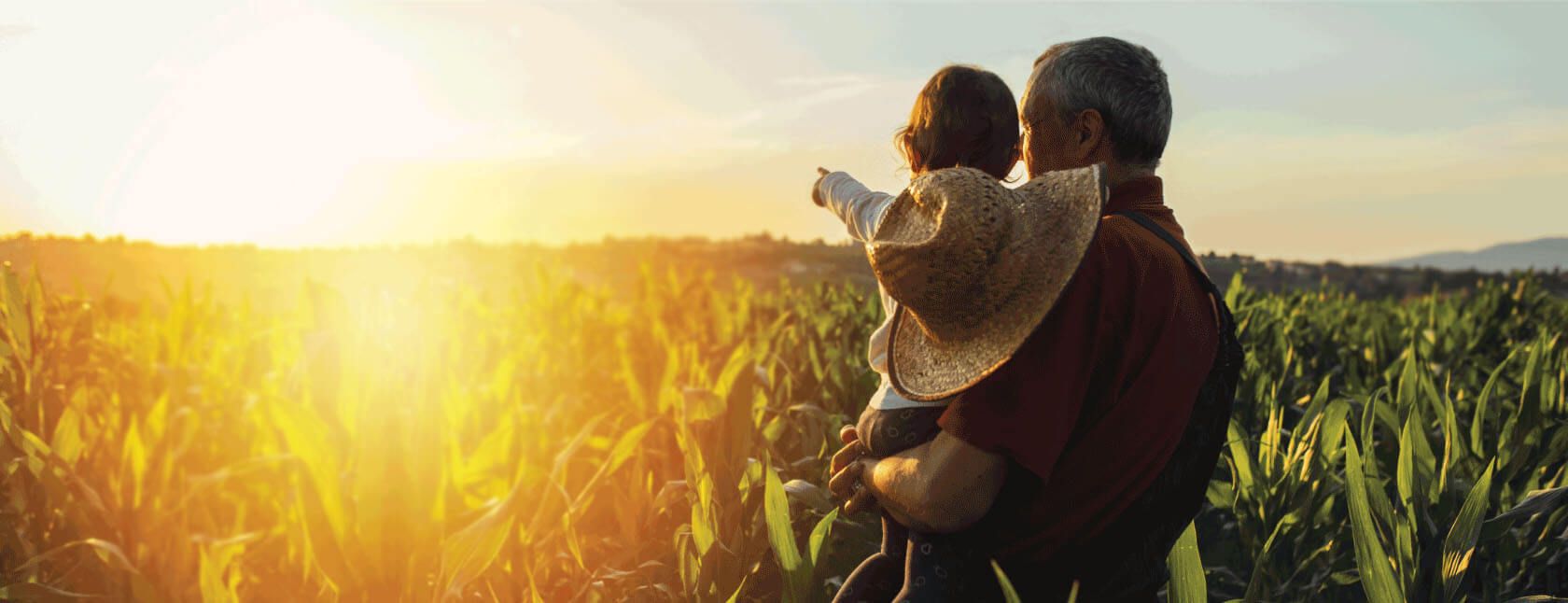 FNB Business and Agriculture Loans